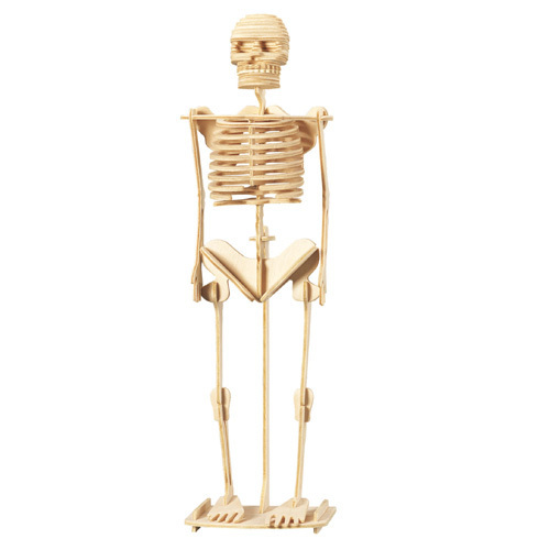 Skelett - 3D Holzbausatz P076