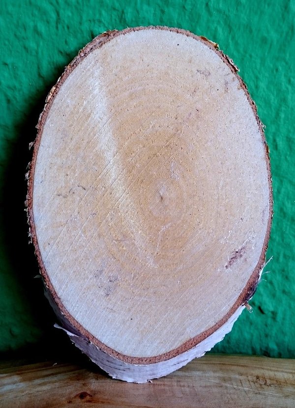 Birkenscheibe oval 10 - 15 x 4 - 8 cm