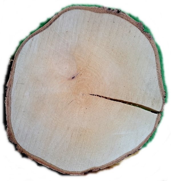 Birkenscheibe rund 20 - 25 cm